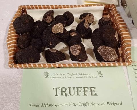 Trüffelmarkt — Sainte-Alvère 2026