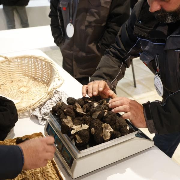 Trüffelmarkt — Sainte-Alvère 2026