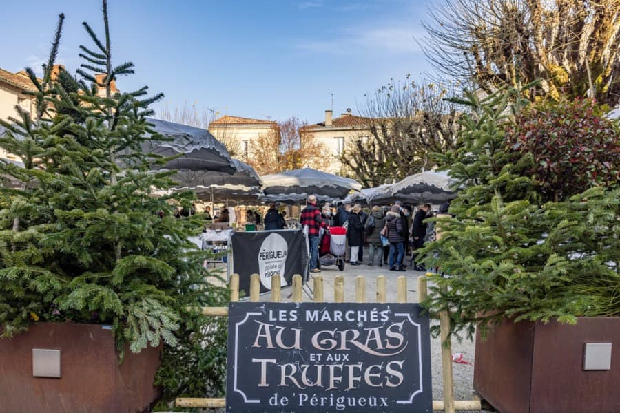 Foie-gras- & Trüffelmesse — Périgueux 2026